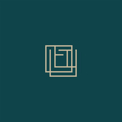 premium company logo Design