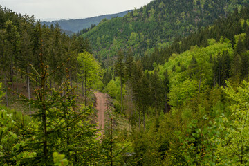 Minecraft - wzg&oacute;rze, szlakiem turystycznym, drzewa, lasy, wolność. Szlaki g&oacute;rskie