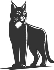 Fototapeta premium Vector animal silhouette of a bobcat