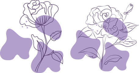 Two Elegant Line Art Roses with Purple Abstract Shapes Botanical Illustration