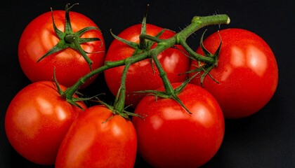 tomatoes on a vine