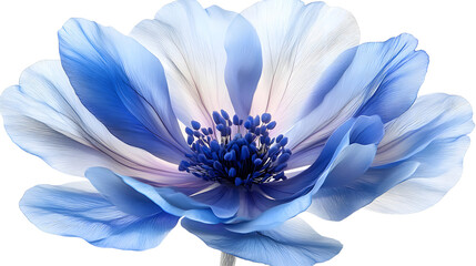 Obraz premium Stunning Close-Up of a Vibrant Blue and White Flower Captivating Natural Beauty