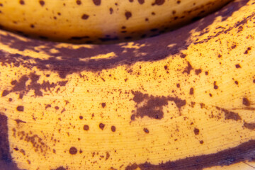 Close up of ripe bananas