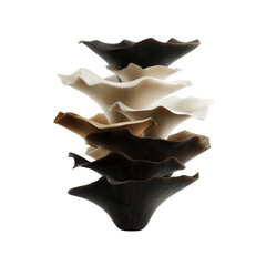 Fototapeta premium Stack of Oyster Mushrooms in Various Shades of Brown and Beige, Isolated on White Transparent background