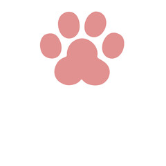 white cat paw