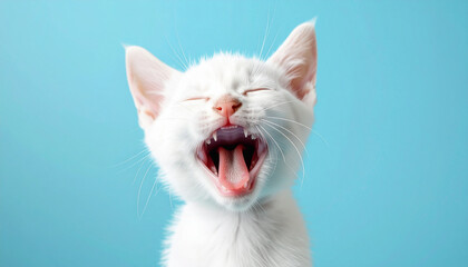 Retrato de un cachorro de gato blanco sano y feliz maullando con la boca abierta sobre un fondo azul