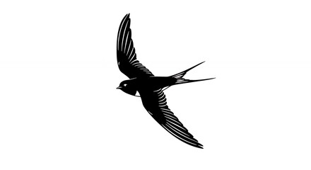 Bird silhouette in flight graphic design