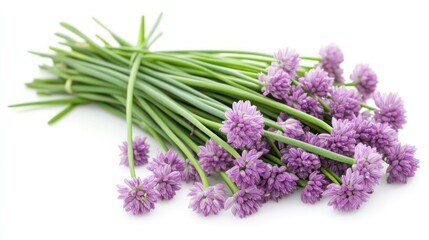 Fresh chives with purple flower heads