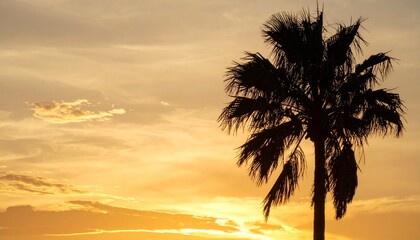Golden Tropics Palm Silhouette with Ethereal Sunset Textures and Contemplative Glow for Coastal Background