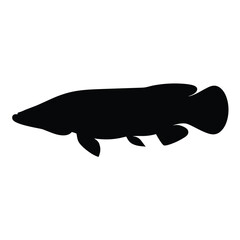 arapaima vector silhouette icon - ideal for fishing logos, seafood icons, and aquatic-themed graphics.