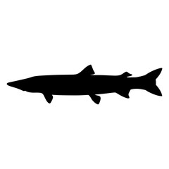 barracuda vector silhouette icon - ideal for fishing logos, seafood icons, and aquatic-themed graphics.