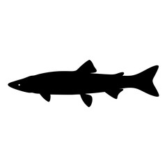 barracuda vector silhouette icon - ideal for fishing logos, seafood icons, and aquatic-themed graphics.
