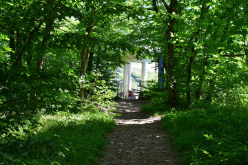 Fototapeta premium Ein schöner Pavillon bei Streitberg invFranke 