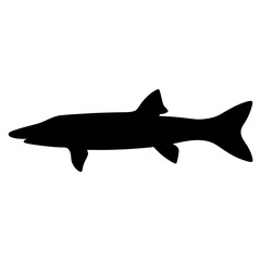 barracuda vector silhouette icon - ideal for fishing logos, seafood icons, and aquatic-themed graphics.