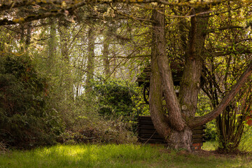 Old garden well hidden among trees and overgrown spring greenery