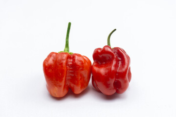 ripened red habanero peppers (capsicum chinense) isolated on white background . Very hot mexican peppers close up
