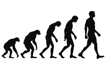 silhouette of a human evolution vector 