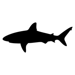 bull shark vector silhouette icon - ideal for fishing logos, seafood icons, and aquatic-themed graphics.
