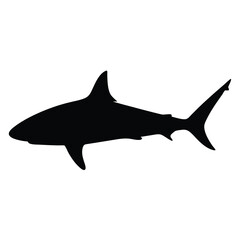 bull shark vector silhouette icon - ideal for fishing logos, seafood icons, and aquatic-themed graphics.