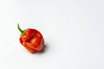 ripened red habanero peppers (capsicum chinense) on rustic table. Very hot mexican peppers close up