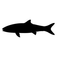 cobia vector silhouette icon - ideal for fishing logos, seafood icons, and aquatic-themed graphics.