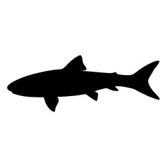 cobia vector silhouette icon - ideal for fishing logos, seafood icons, and aquatic-themed graphics.