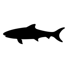 cobia vector silhouette icon - ideal for fishing logos, seafood icons, and aquatic-themed graphics.