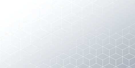 white background with hexagonal line pattern design