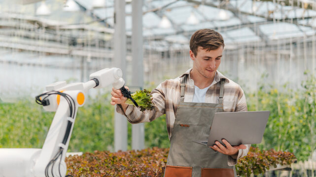 Male farmer using laptop in greenhouse to check the operation of robotic arm with AI system to control in farm care. Smart agriculture technology concept. Wireless robot for agriculture in smart farm.
