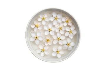 Delicate white blossoms floating peacefully in a white bowl of water transparent background