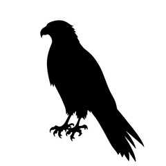 Minimalist black silhouette of a falcon perched on a white background