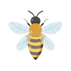 Bee: The Diligent Pollinators of Nature