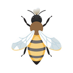 Bee: The Diligent Pollinators of Nature