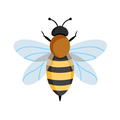 Bee: The Diligent Pollinators of Nature