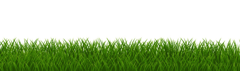 Obraz premium Grass Frame With Isolated White Background