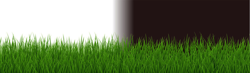 Fototapeta premium Green Grass Border Isolated White And Black Background