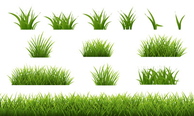 Green Grass Border Isolated White Background