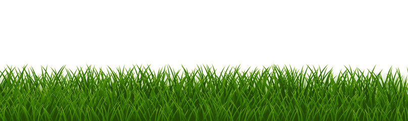 Fototapeta premium Grass Frame With Isolated White Background