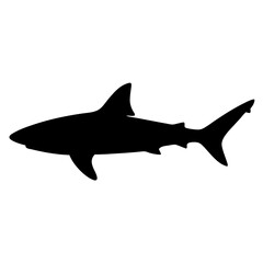 great white shark vector silhouette icon - ideal for fishing logos, seafood icons, and aquatic-themed graphics.