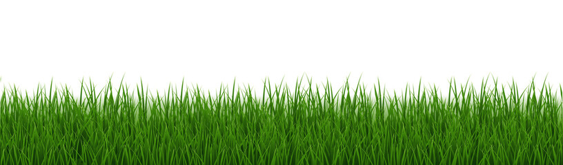 Fototapeta premium Green Grass Border Isolated And White Background