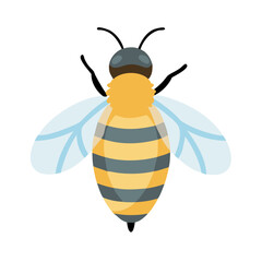 Bee: The Diligent Pollinators of Nature