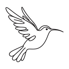 Hummingbird in Flight Line Art Vector Illustration for Nature Designs