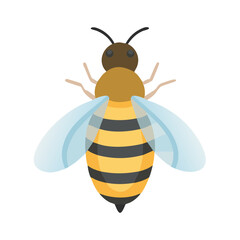 Bee: The Diligent Pollinators of Nature