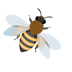 Bee: The Diligent Pollinators of Nature