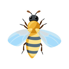 Bee: The Diligent Pollinators of Nature