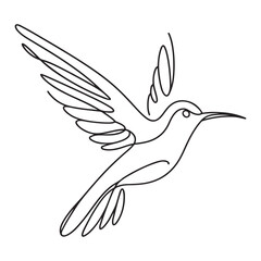Elegant Hummingbird Line Art Illustration Symbolizing Grace and Agility