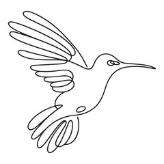 Graceful Hummingbird One Line Art Illustration Vector Design