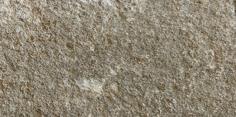 White and grey concrete wall grunge texture background old cement wall texture background, banner. 