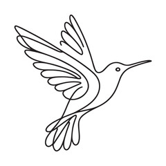 Hummingbird Elegant Silhouette Vector Line Art Flying Illustration