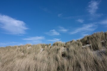 sand dune with marram grass and blue sky.